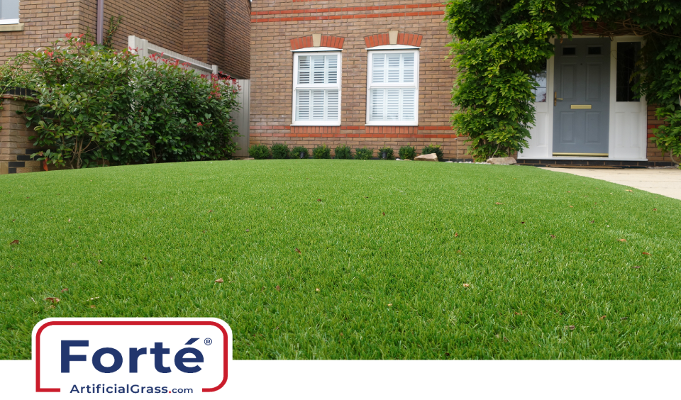 FORTE® PREMIUM COLLECTION