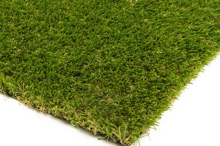 Artificial Grass